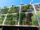 vertical gardening systems