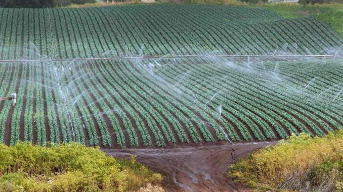 pipe-reticulation-system pipe reticulation system