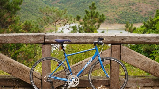 giant bike