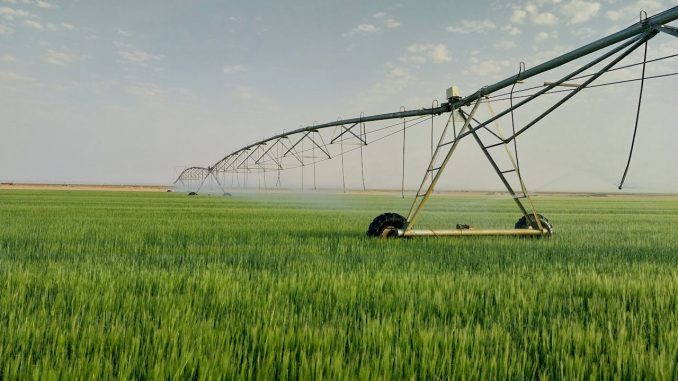pivot irrigation