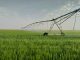 pivot irrigation